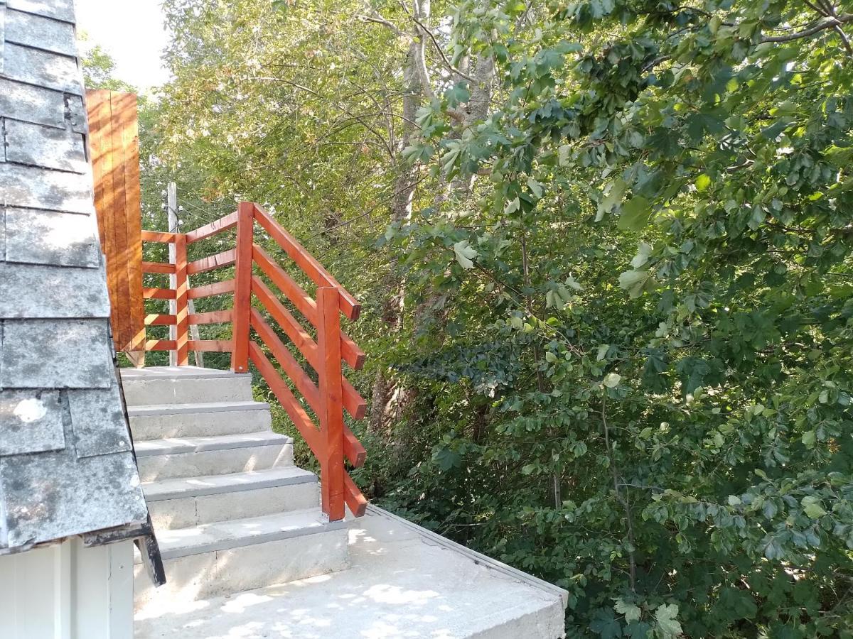 House Lastva Апартаменти